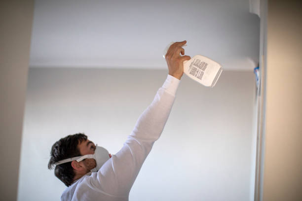 Best Preventive Mold Services in Rio Grande City, TX