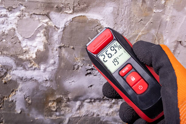 Best Mold Remediation for Schools in Rio Grande City, TX
