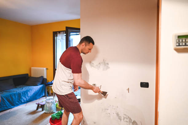 Best Commercial Mold Remediation in Rio Grande City, TX